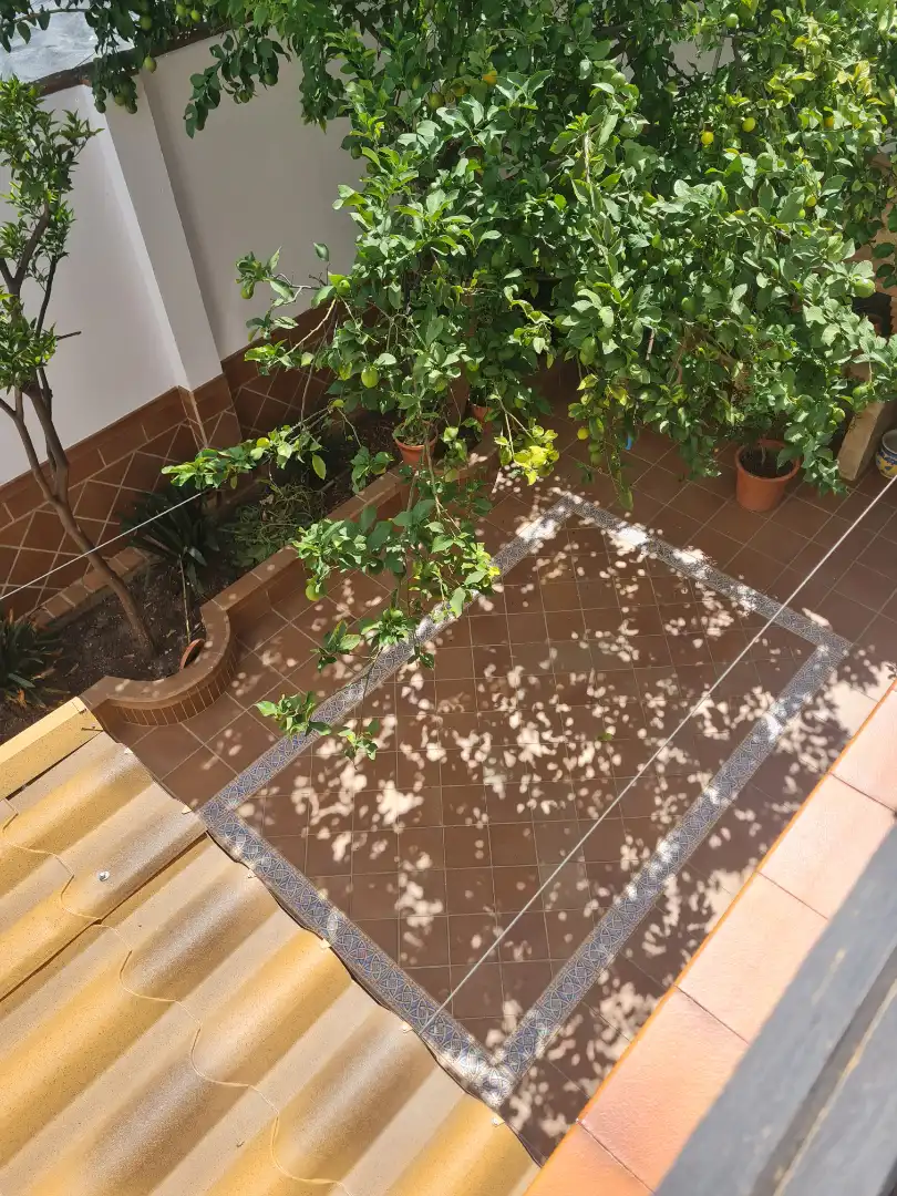 Chalet con terraza en venta en El Bosque, imagen 13
