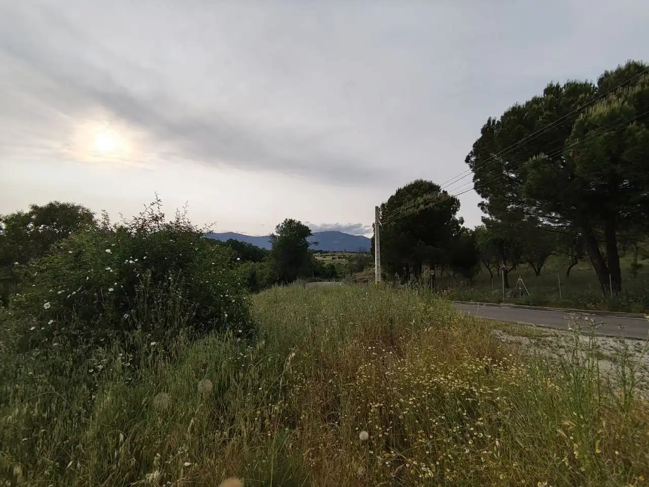 Rural land for sale in Camino del Valle 90, imagen 5
