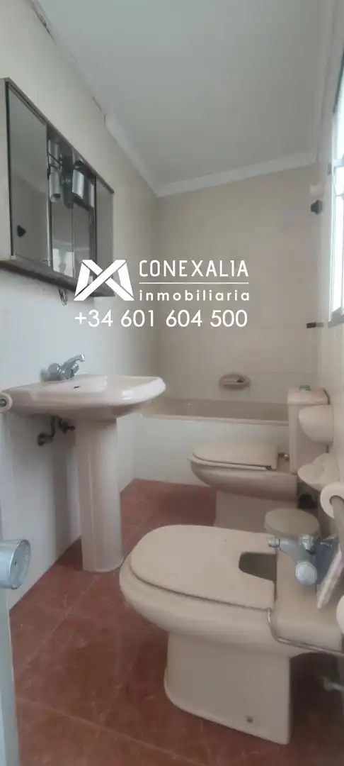 Business premises for sale in Olvera, imagen 23