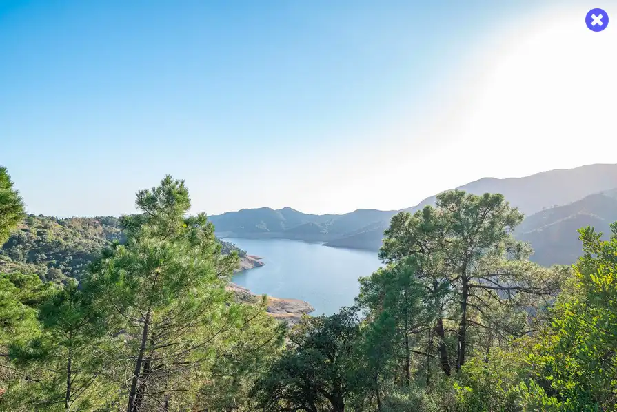 Vista exterior de Casa o chalet en venta en Istán con Aire acondicionado, Jardín privado y Piscina