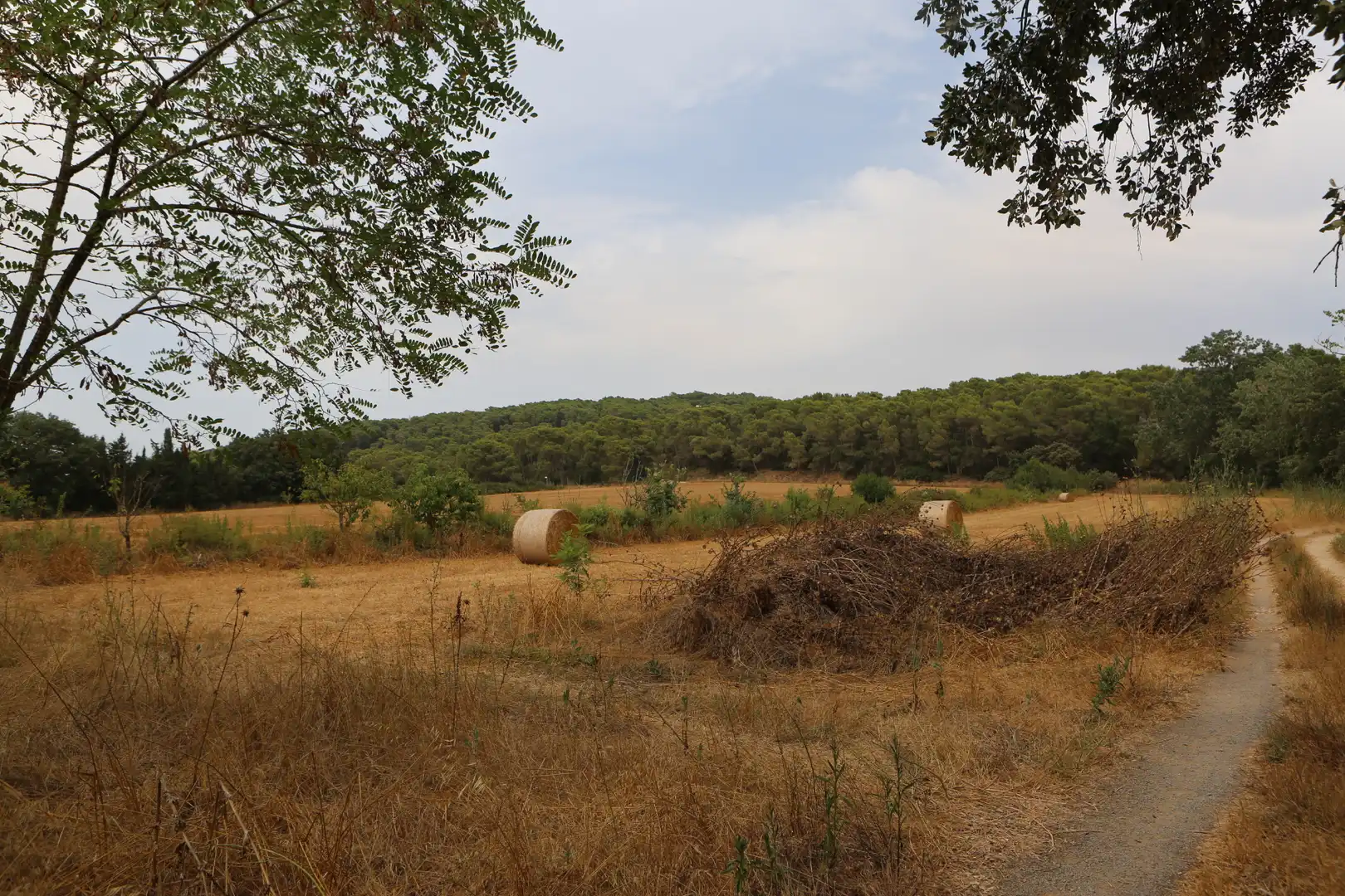 Finca rústica en venda en Begur amb Jardí privat