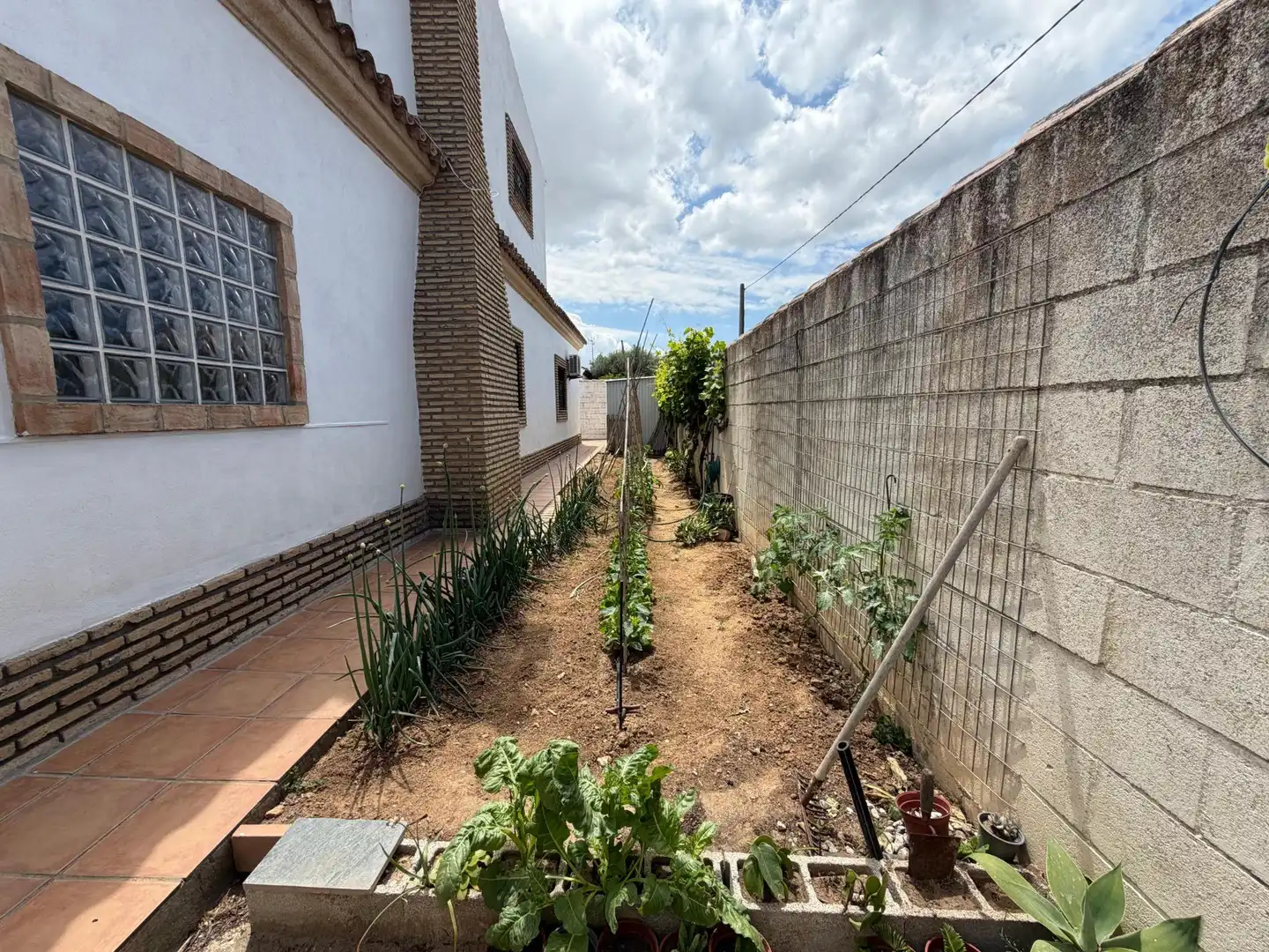 Xalet amb piscina en venda a Los Franceses – La Vega, imagen 54