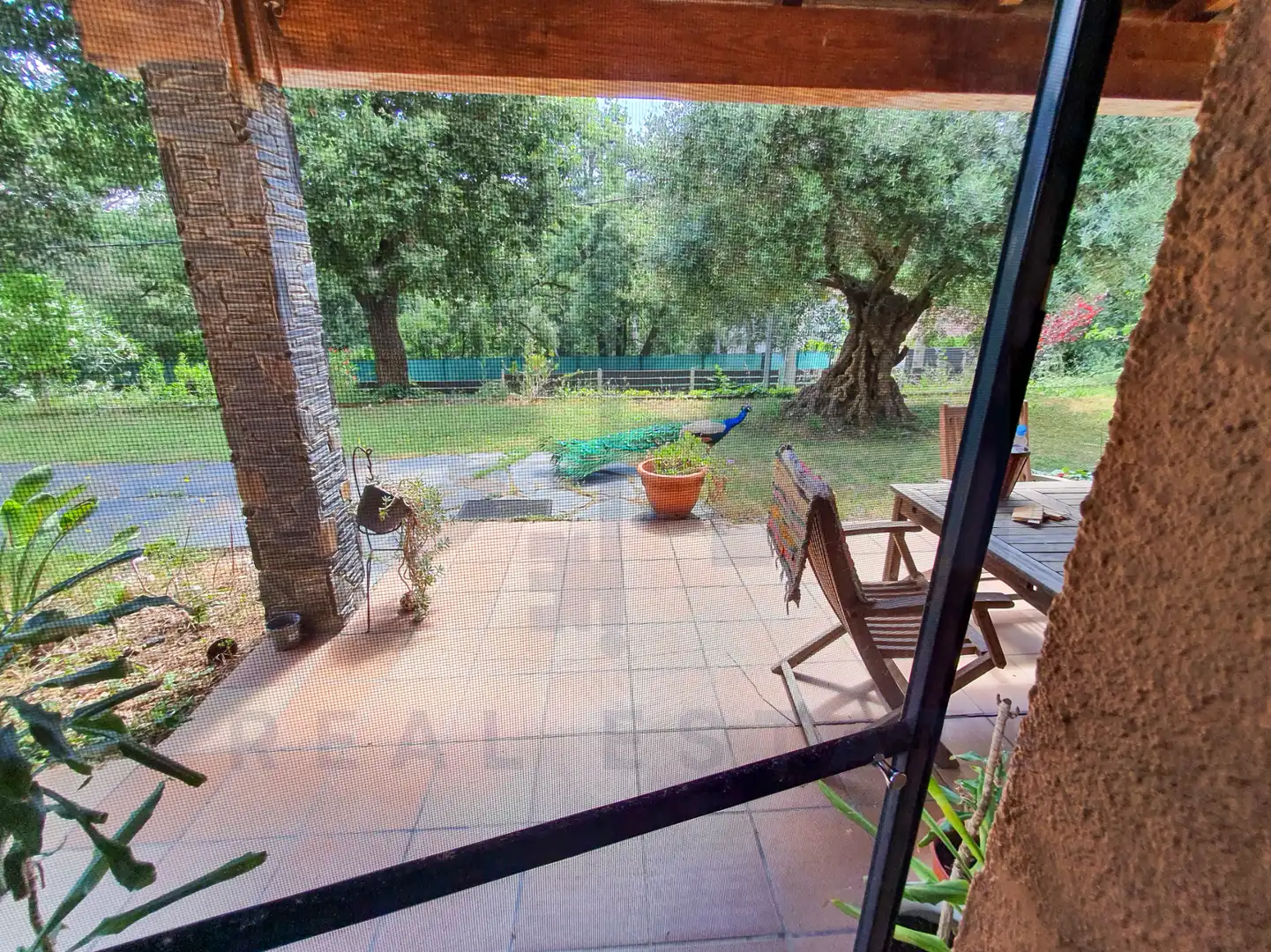 Villa con terrazza in vendita a Carrer Sot de les Vinyes, imagen 48
