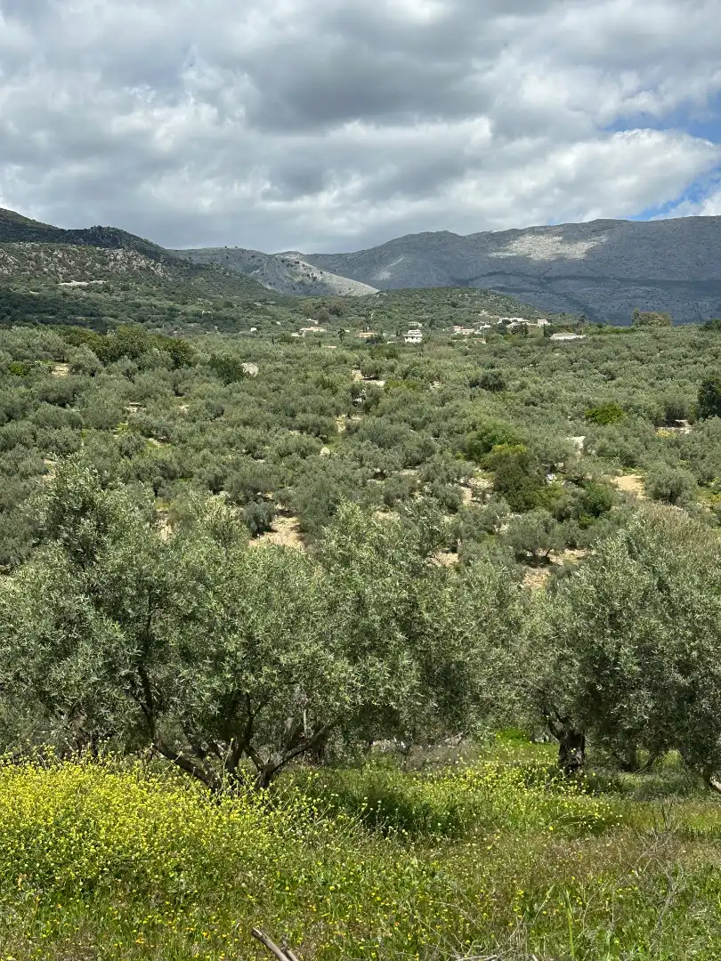 Terreni e lotti in vendita a Periana, imagen 27