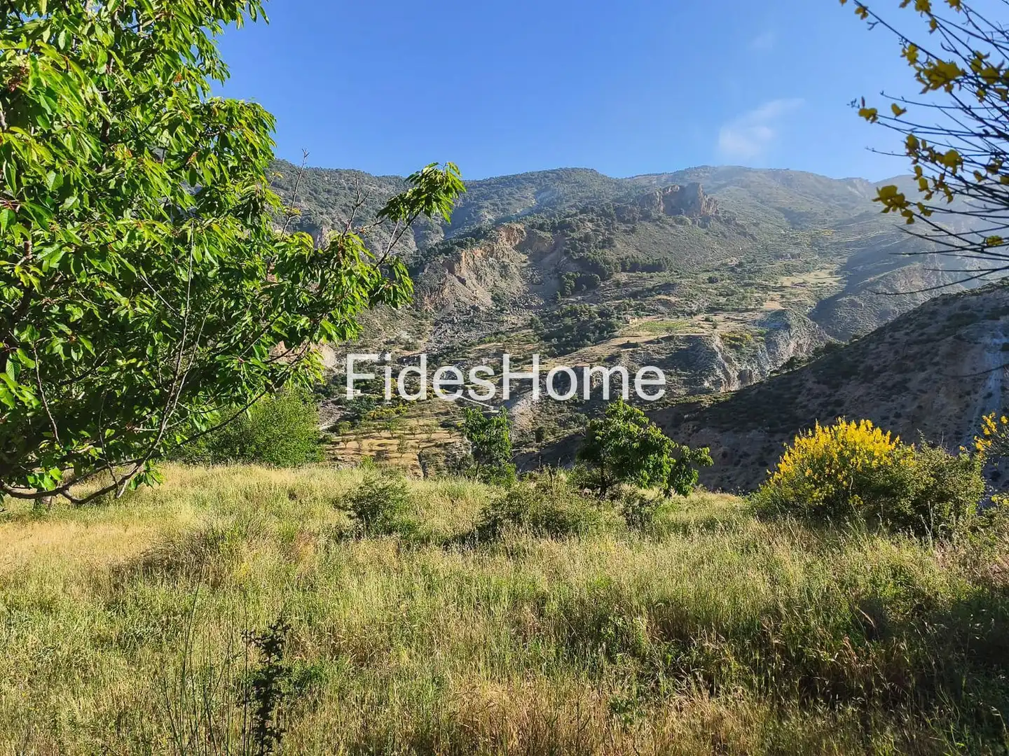 Rural land for sale in XFPP+9QX Nigüelas 0, imagen 3