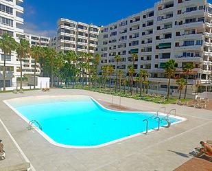 Piscina de Apartament de lloguer en San Bartolomé de Tirajana amb Aire condicionat