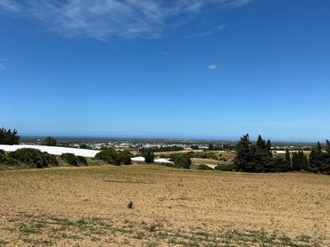 Terrain rustique à vendre à Barrio Nuevo