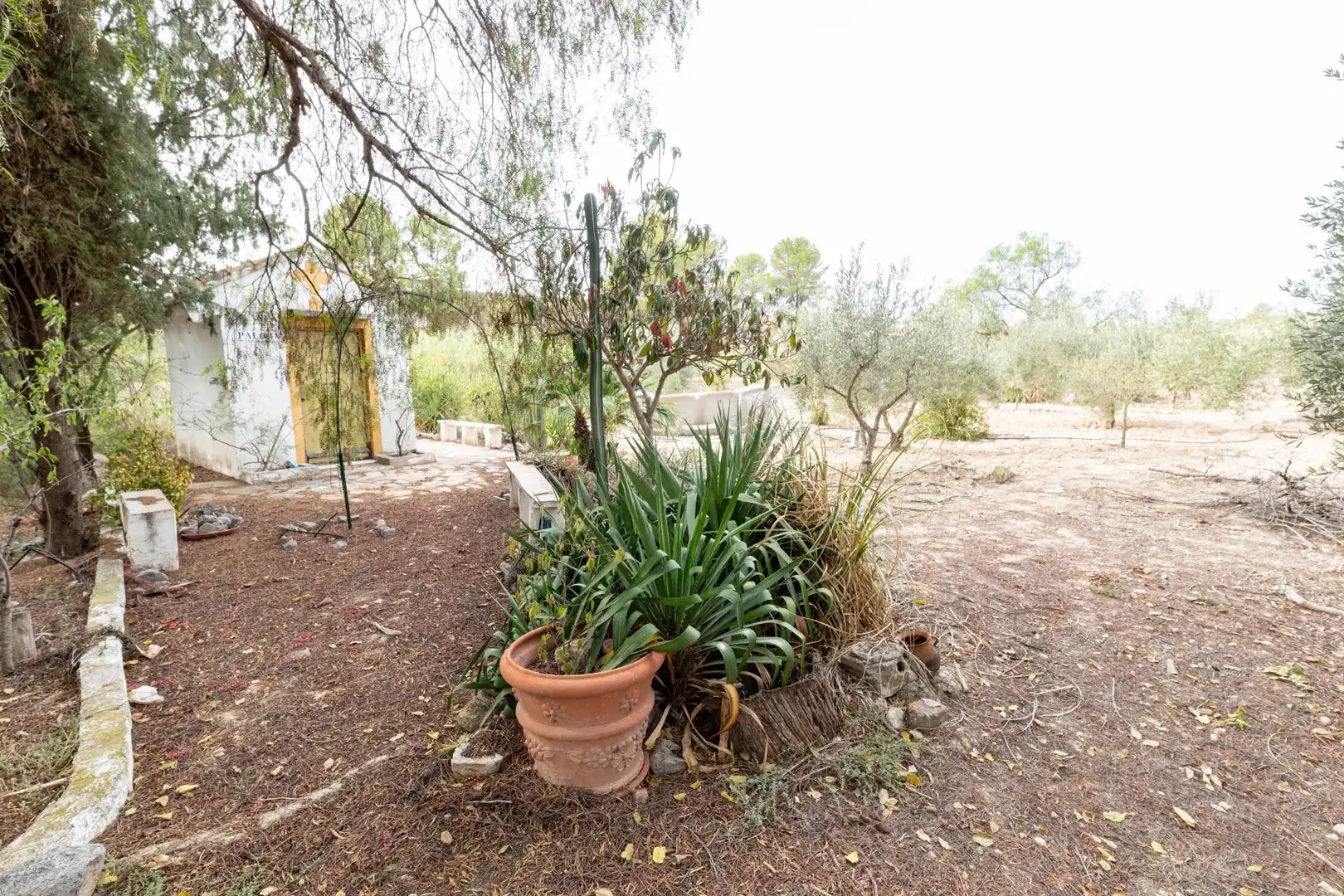 Jardín de Casa o chalet en venta en Ricote con Jardín privado, Terraza y Trastero