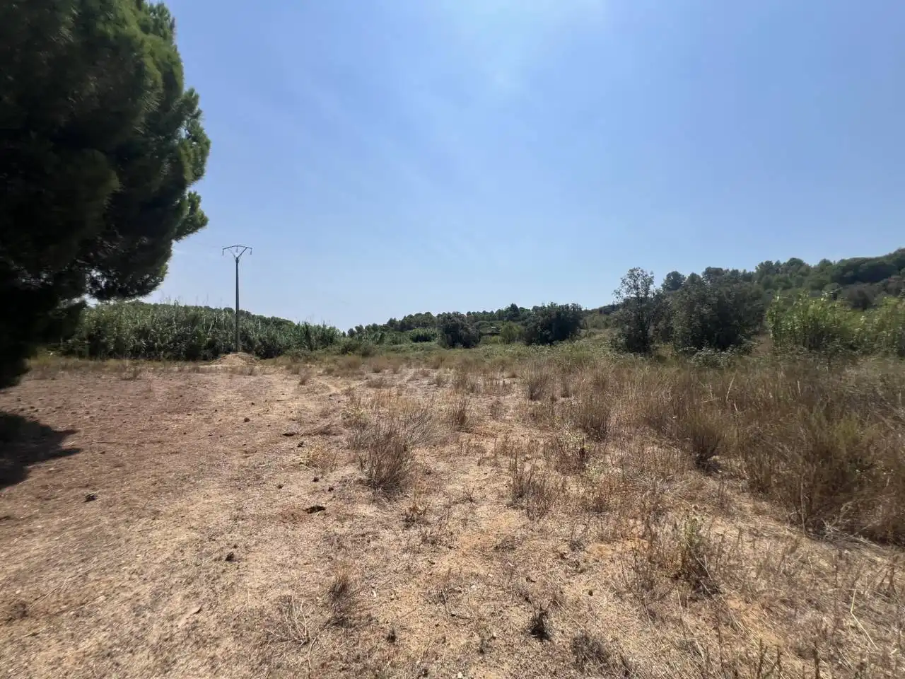 Rural land for sale in Camino Aleixar 15, imagen 14