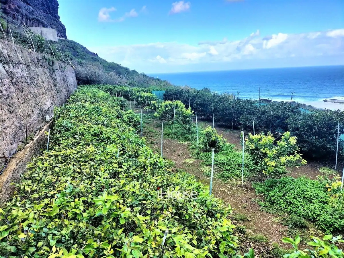 Terreno en venta en PUNTA DE TENO, Buenavista del Norte