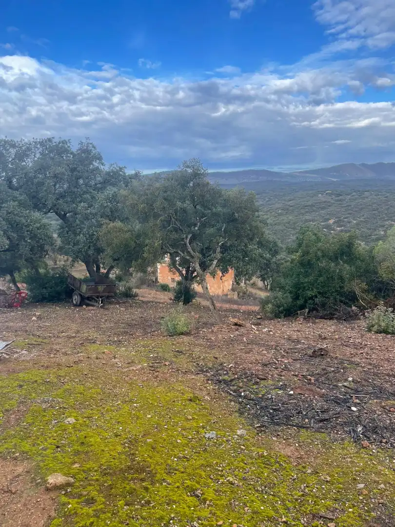 Terreno rustico in vendita a Urbanizacion el Elena S-7 6, imagen 13