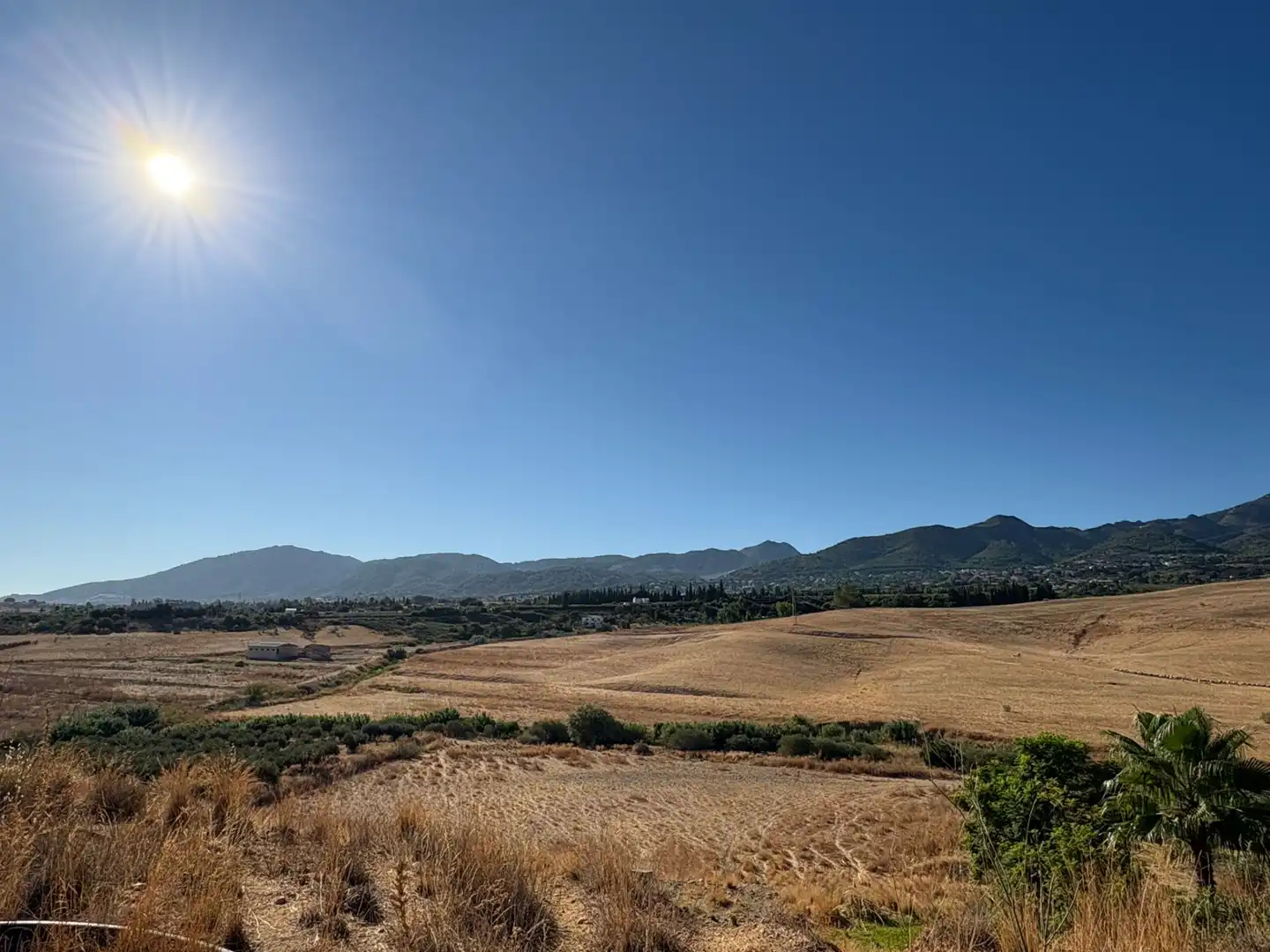 Terreno rustico in vendita a Camino Cuesta del Palmar, imagen 12
