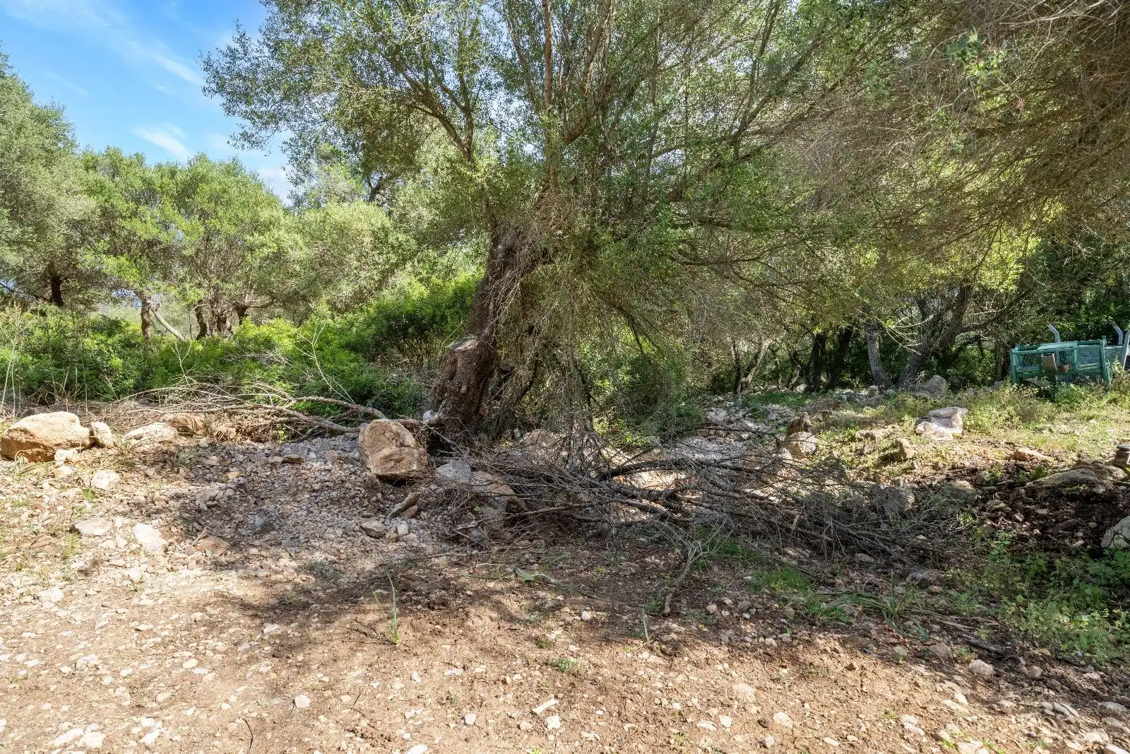 Terreny residencial en venda a Ciutat d'Alcúdia, imagen 34
