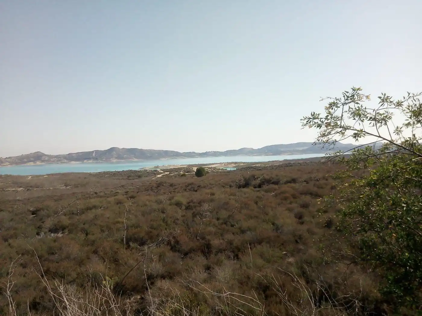 Terreno rústico en venta en Desamparados - Hurchillo - Torremendo, imagen 10