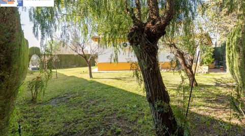 Foto 4 de Casa o xalet en venda a Ronda de Los Montes(cubi., Albolote, Granada