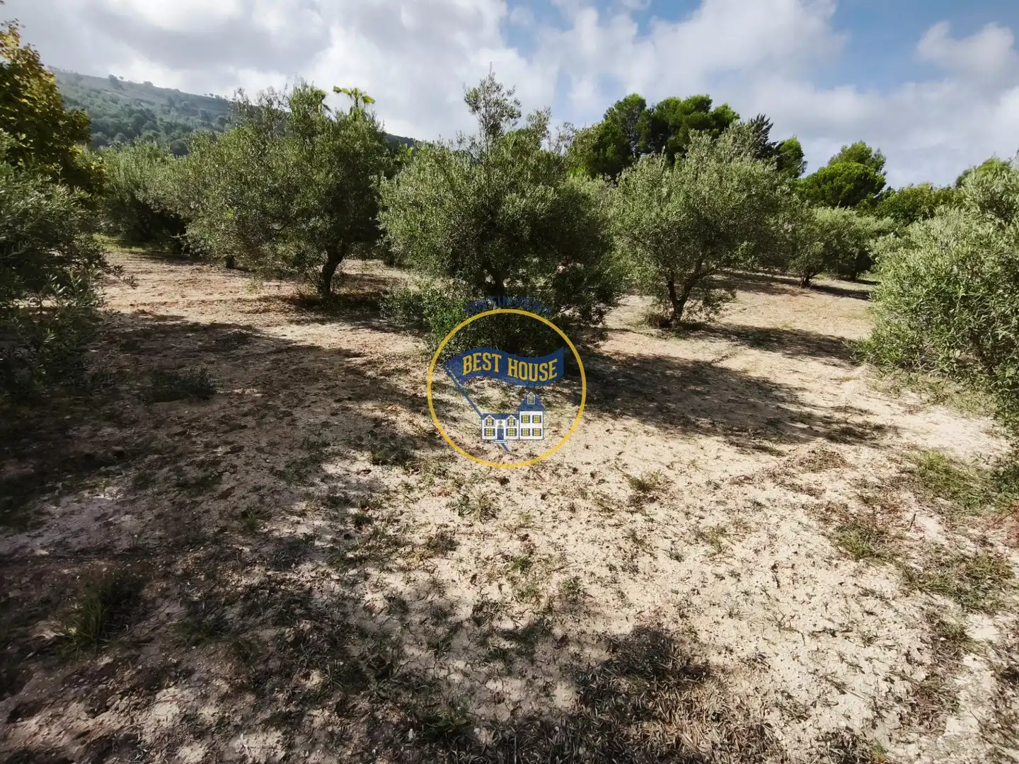 Villa in vendita a Sant Josep - Zona Hospital, imagen 38
