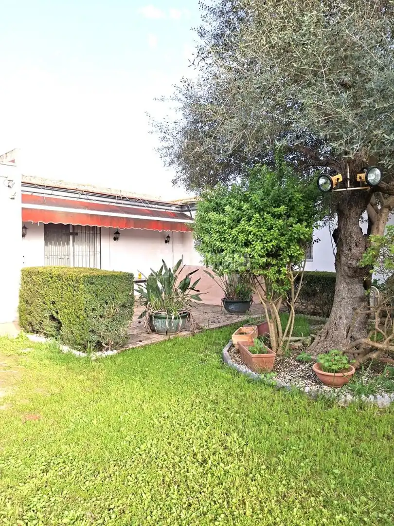 Jardí de Finca rústica en venda en Coria del Río