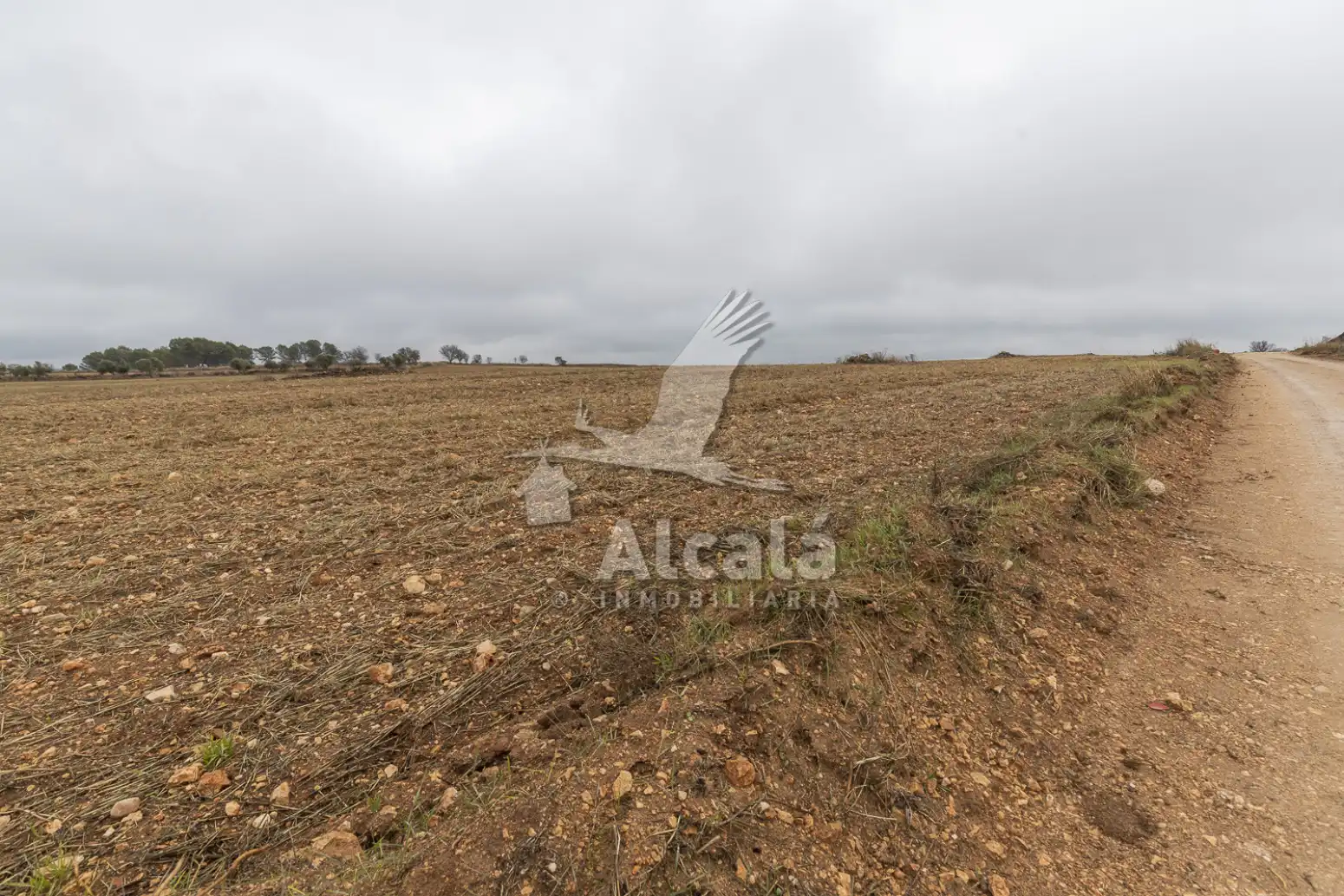 Rural land for sale in Pezuela de las Torres, imagen 24