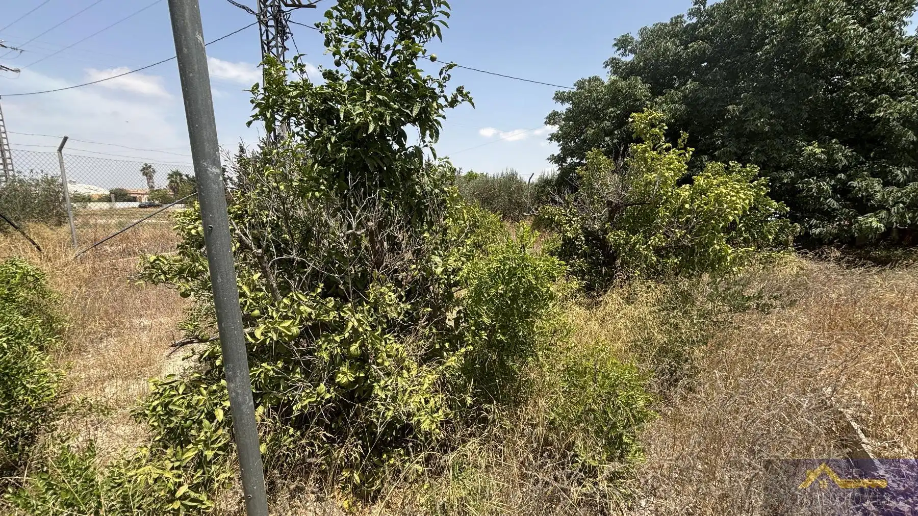 Finca rústica en venda a Paraje Ruices , Los Martinez del Puerto
