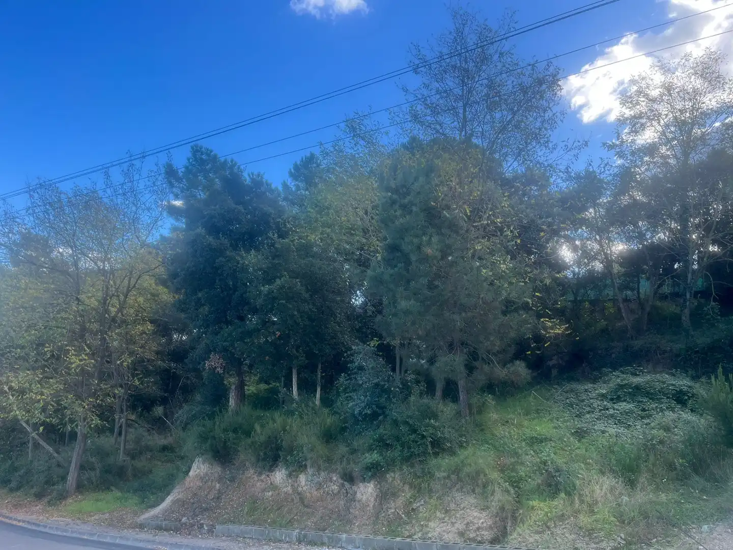 Residential land for sale in Fogars de la Selva, imagen 11