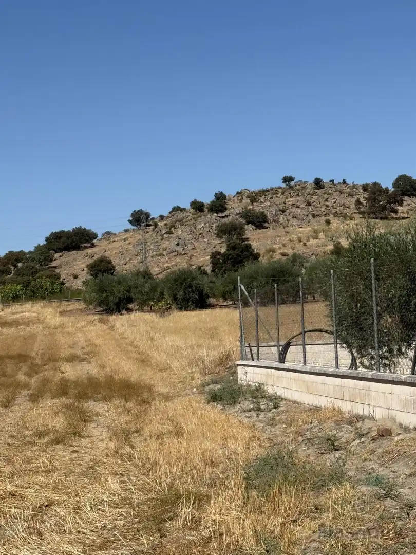 Terrenos y solares en venta en Santa Amalia
