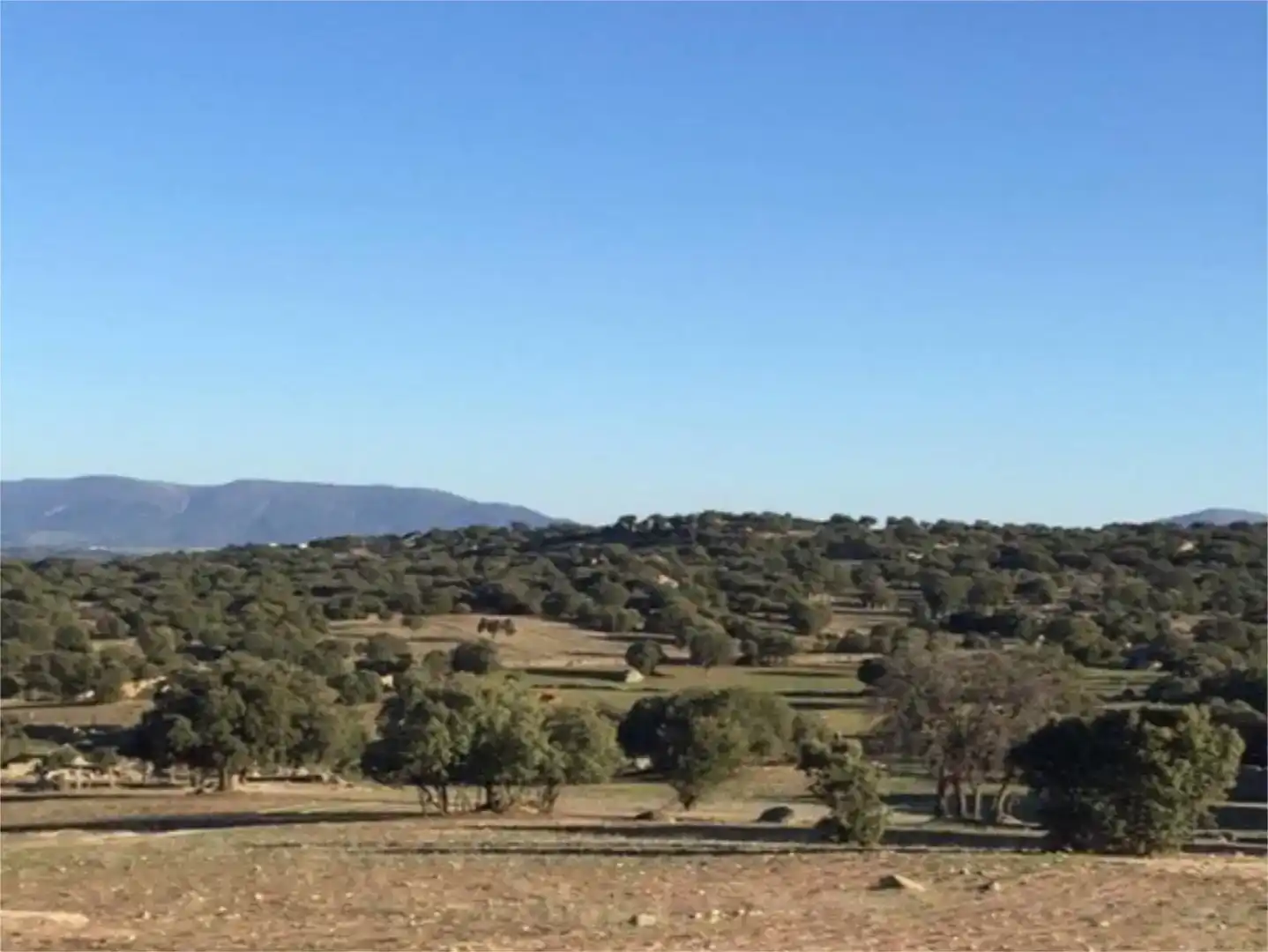 Casa o xalet en venda en Menasalbas