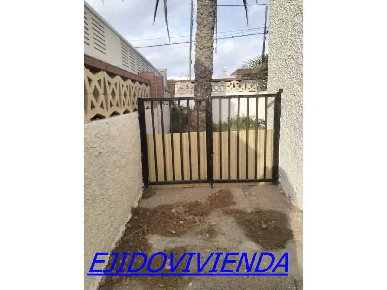 Vista exterior de Casa o chalet en venta en El Ejido con Jardín privado y Terraza