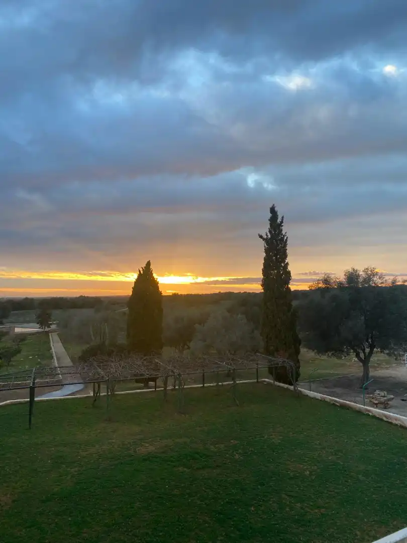 Jardín de Finca rústica en venta en Santanyí con Amueblado