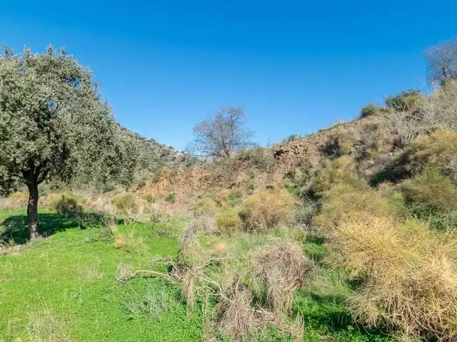 Terreni e lotti in vendita a Torrox Pueblo, imagen 7
