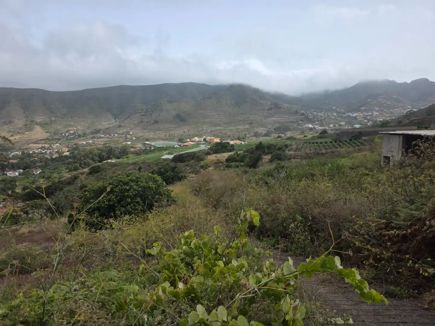 Rural land for sale in Camino las Peñuelas 11, imagen 5