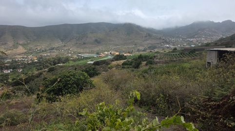 Foto 5 von Grundstücke zum Verkauf in Camino las Peñuelas, 11, Tegueste, Santa Cruz de Tenerife