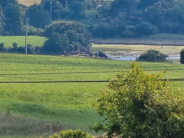 Terreno en Venta en Ajo