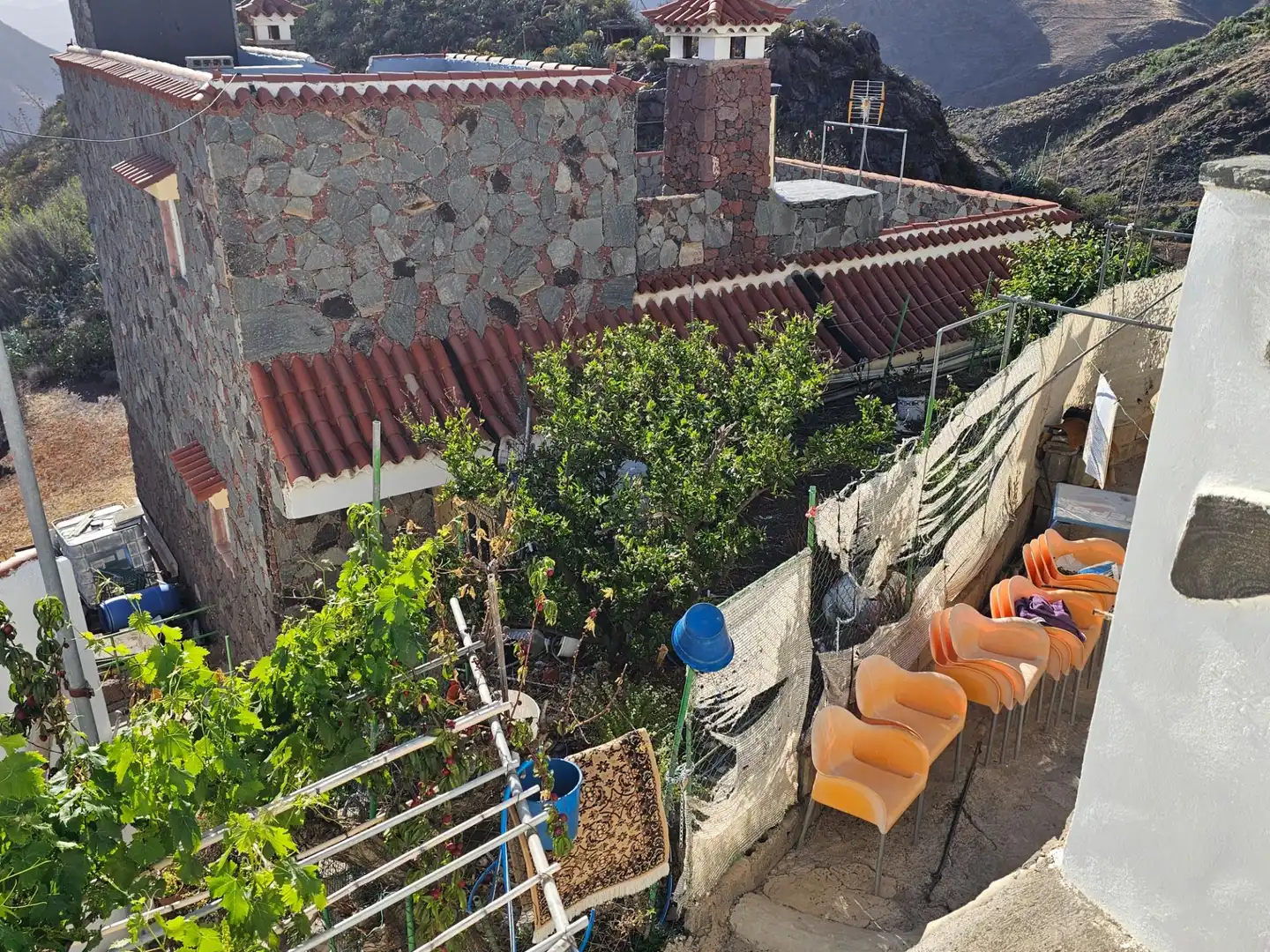 Jardín de Finca rústica en venta en Tejeda