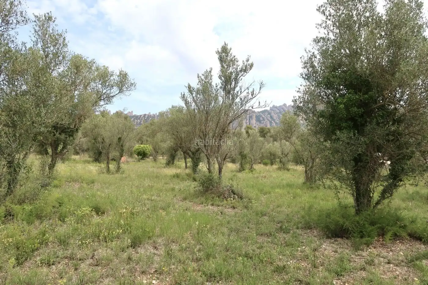 Residential land for sale in Carrer Lluís Companys 7, imagen 5