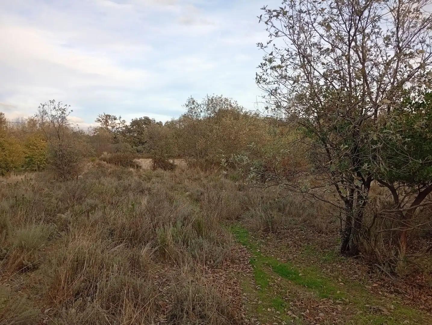 Terreni e lotti in vendita a Villanueva de la Vera, imagen 61