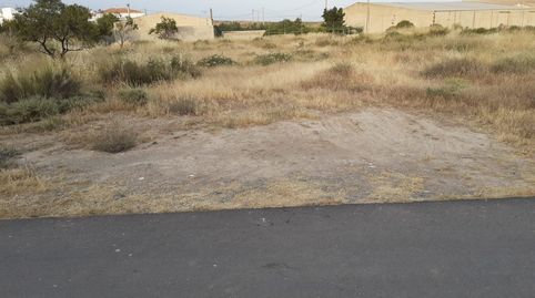 PARCELA EN HUITAR MAYOR, OLULA DEL RÍO, ALMERÍA.