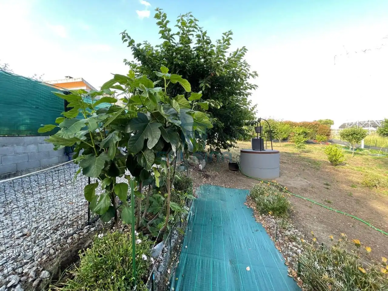 Terreni e lotti in vendita a Ventiun, imagen 13