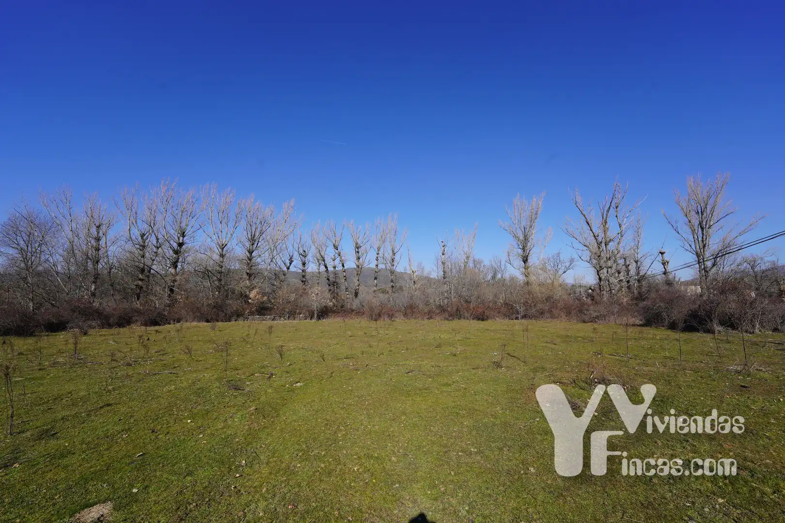 Terreno rústico en venta en Campillo de Ranas, imagen 2