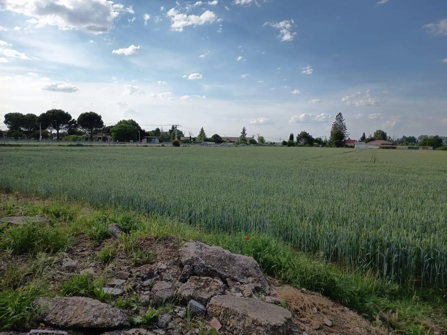 Terreni e lotti in vendita a Grijota, imagen 15
