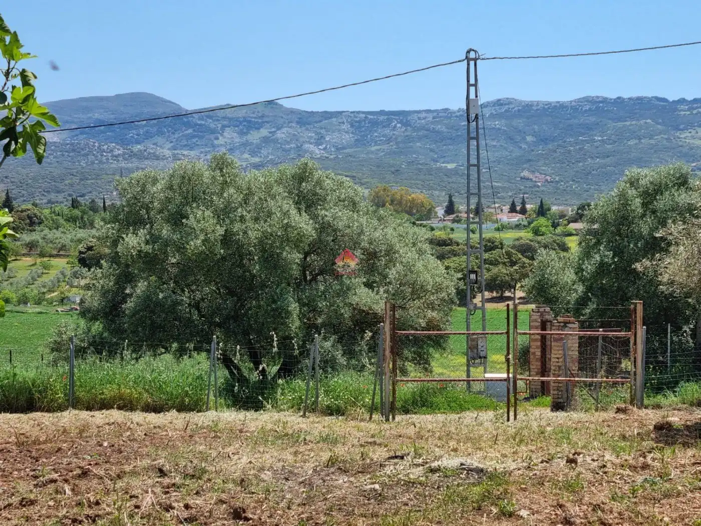 Terreni e lotti in vendita a Casco Histórico, imagen 5