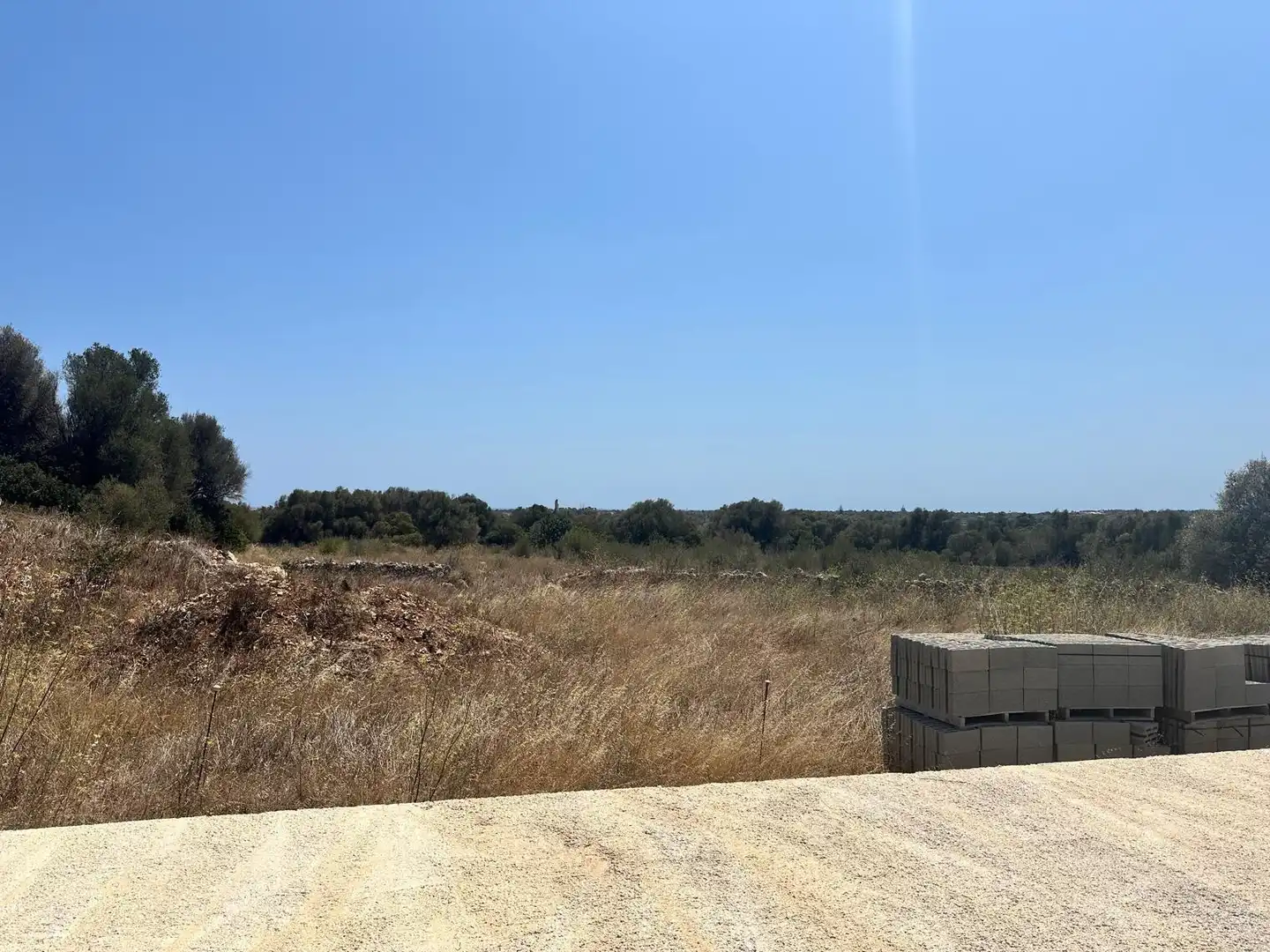 Rural land for sale in Sant Llorenç des Cardassar, imagen 9