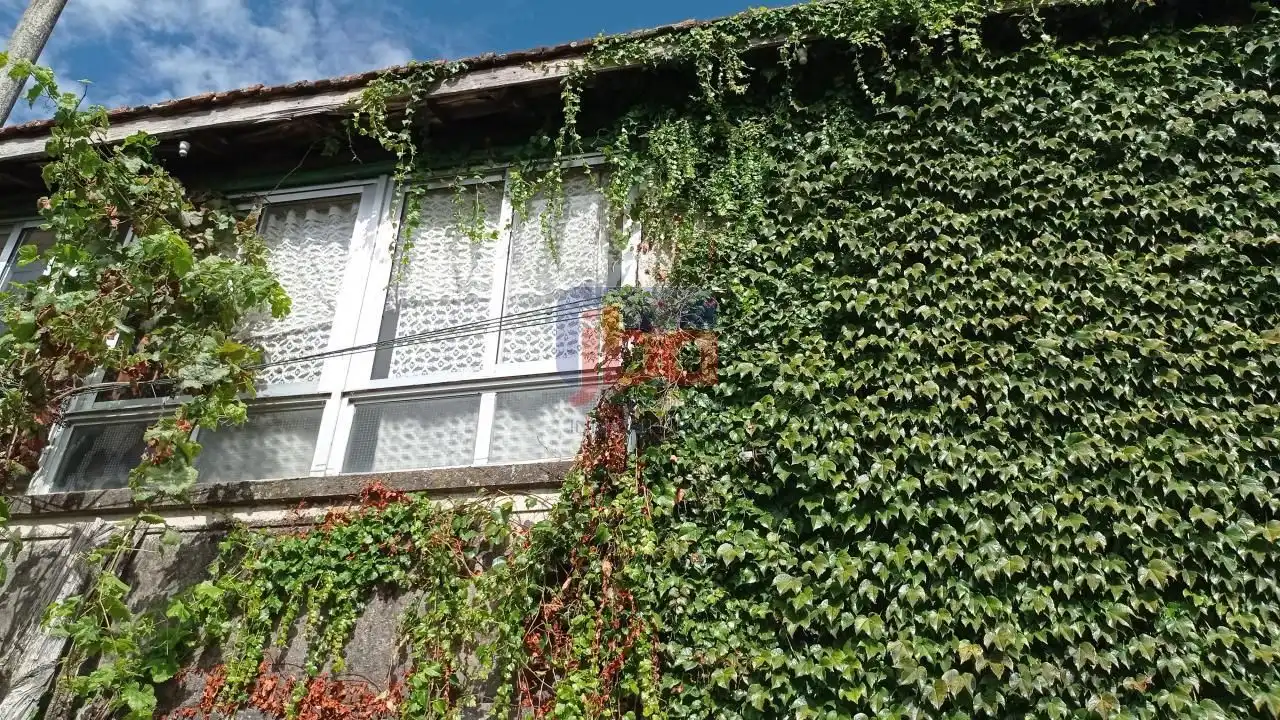Vista exterior de Casa o chalet en venta en Ourense Capital  con Calefacción y Jardín privado