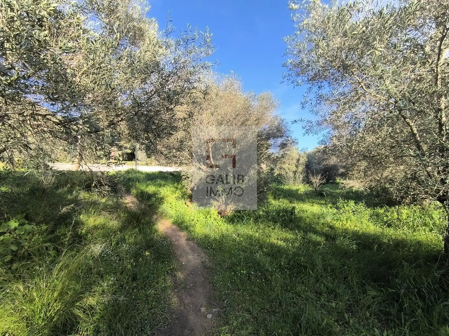 Terreni e lotti in vendita a Pau, imagen 6