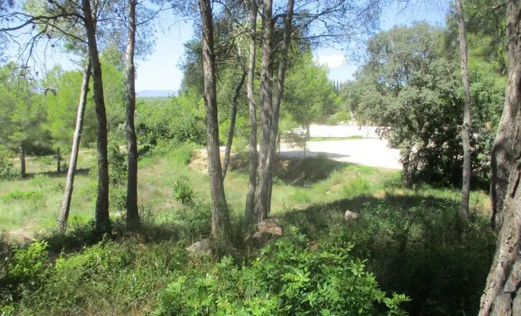 CATLLAR, EL (Tarragona). c/ Libertad, 4., imatge 3