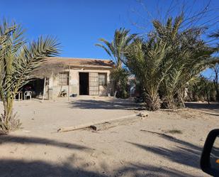 Vista exterior de Casa o xalet en venda en Guardamar del Segura