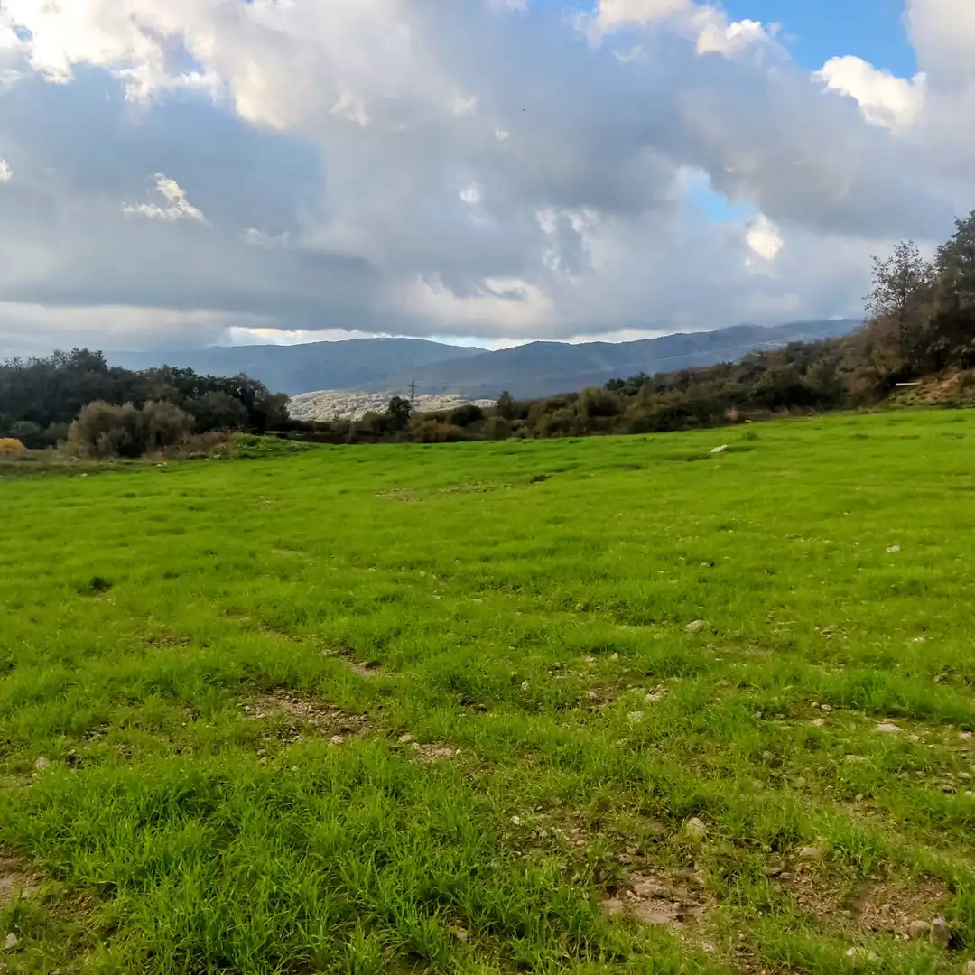 Terreni e lotti in vendita a Jarandilla de la Vera, imagen 14