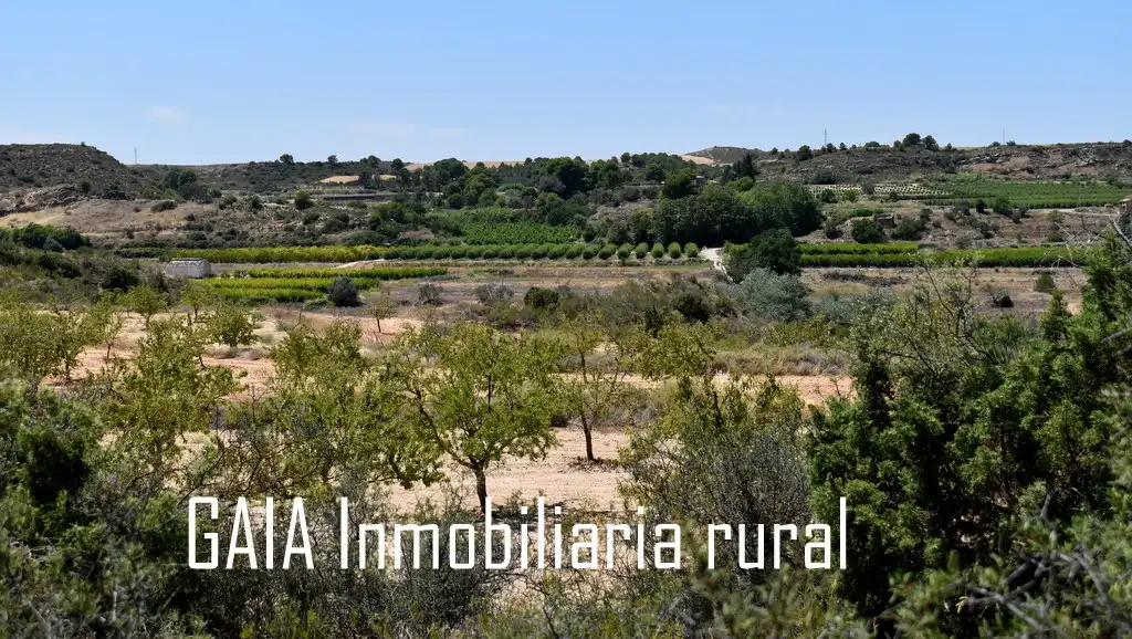 Finca rústica en venta en Caspe