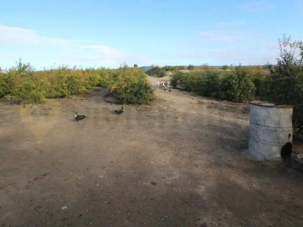 Rural land for sale in El Retiro - Parque Atlántico - Ronda este, imagen 4