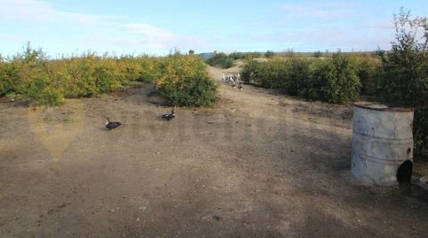 Foto 4 de Terreno en venta en Parque Atlántico - Ronda este, Jerez de la Frontera