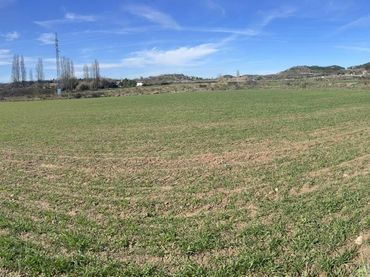 Terreno rustico in vendita a Diseminado Entrena